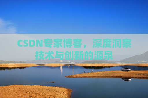 CSDN专家博客，深度洞察技术与创新的源泉